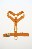 HARNAIS SIGNATURE | COGNAC