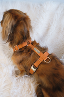 SIGNATURE HARNESS | COGNAC
