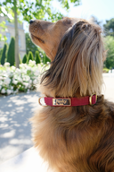 COLLIER SIGNATURE | BURGUNDY