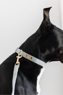 TWEED COLLAR | AZURE BLUE