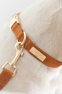 Set Signature - Cognac