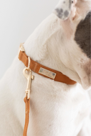 SIGNATURE COLLAR | COGNAC
