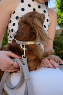 COLLIER TWEED | BEIGE