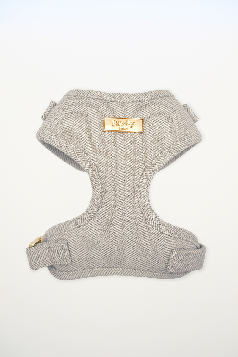 Harnais pour chien beige en tweed à tissage chevron, avec des finitions dorées, photographié de face en studio.