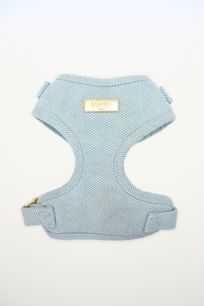 Harnais pour chien bleu en tweed à tissage chevron, avec des finitions dorées, photographié de face en studio.