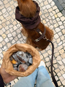 Femme tenant en laisse un chien assis et portant un harnais pour chien en coton couleur chocolat, de forme en Y, ainsi qu’un snood.