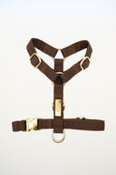 HARNAIS SIGNATURE | CHOCOLAT