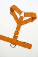 HARNAIS SIGNATURE | COGNAC