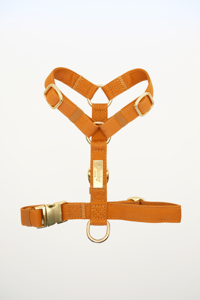 Harnais pour chien cognac en coton, forme en Y, finitions dorées et logo Pawky Paris.