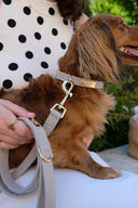 LAISSE TWEED | BEIGE