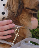 COLLIER TWEED | BEIGE